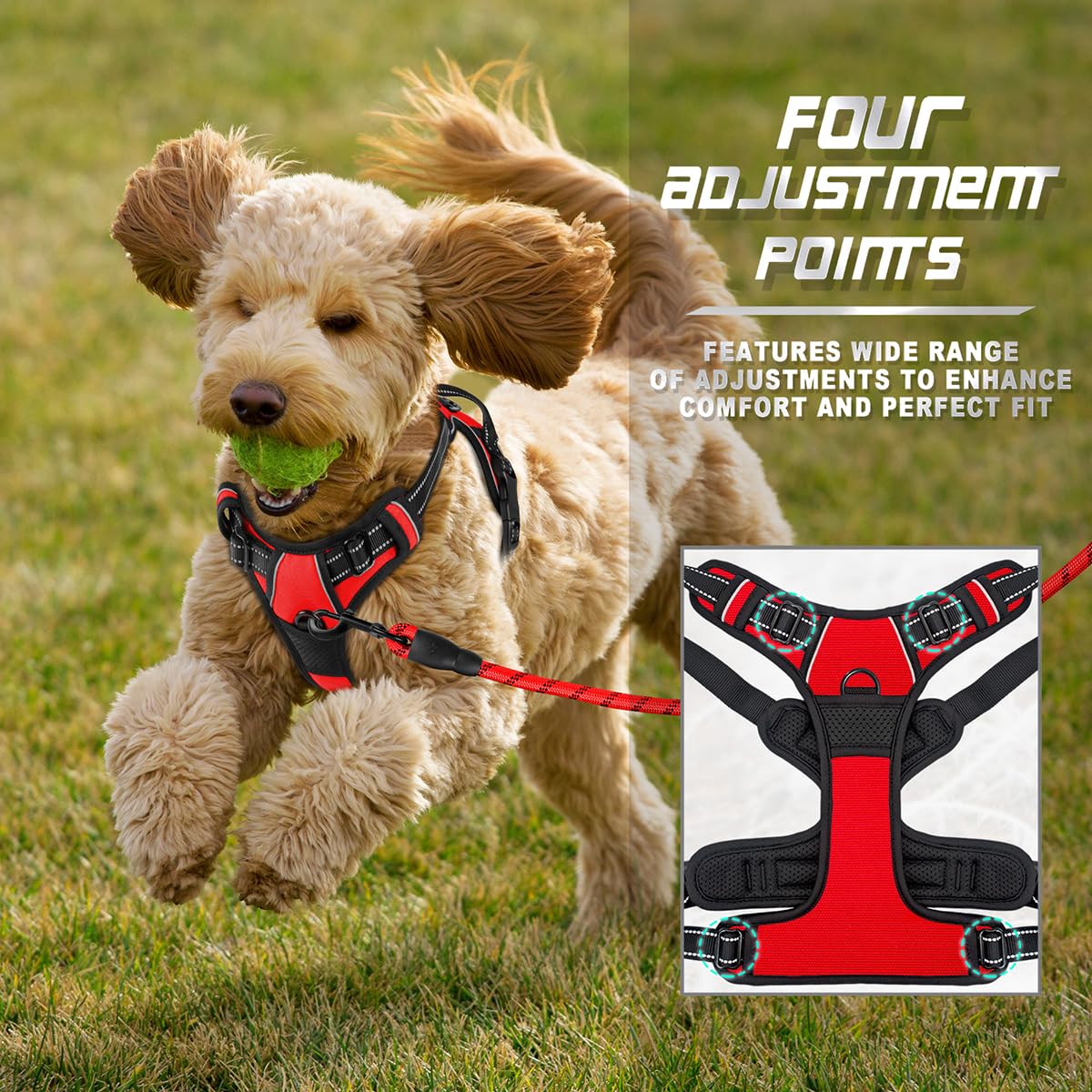Dog Harness No Pull for Small Sized Dog Front Back Clips (X-Small(Chest:15.5-19.5”) / Red)