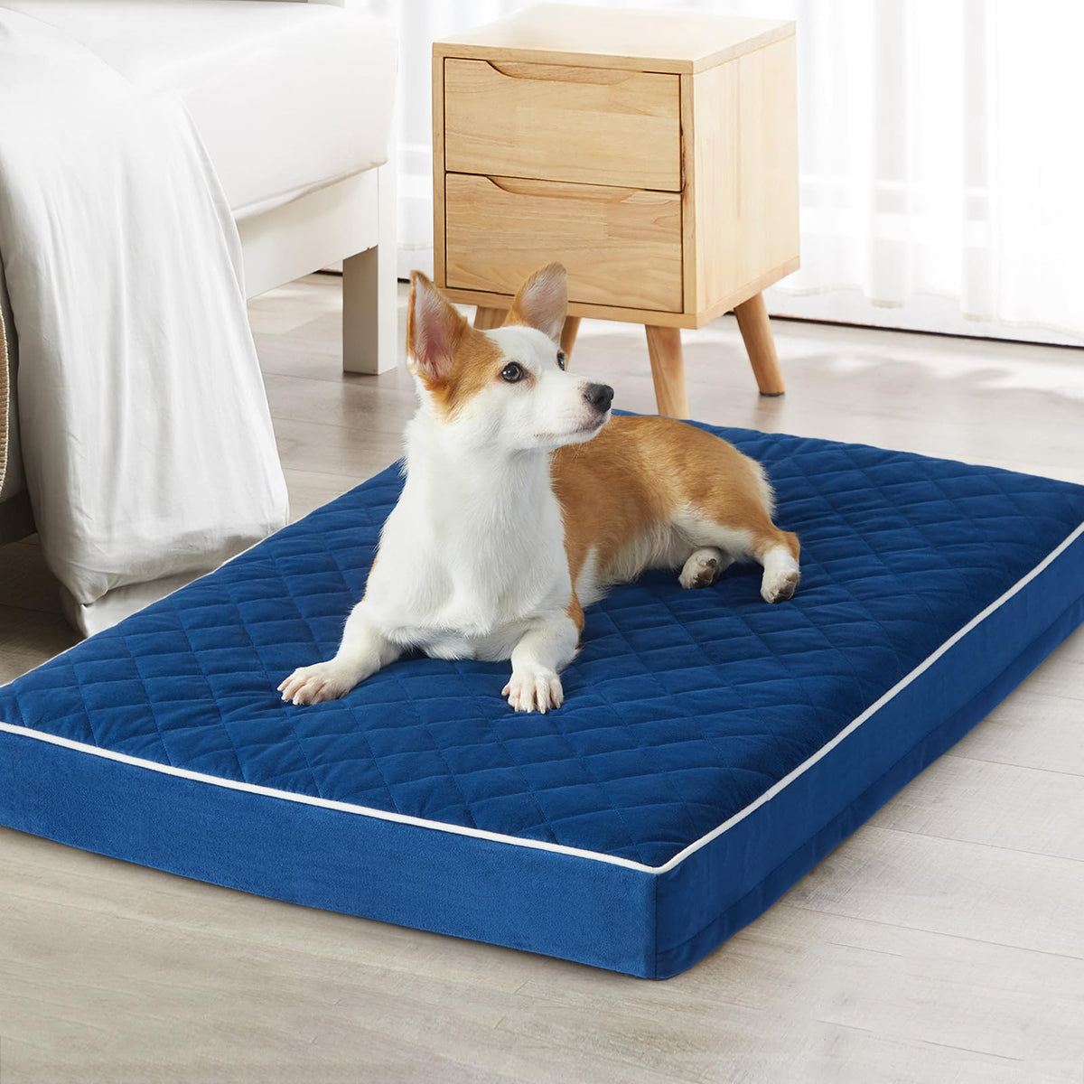 Orthopedic Waterproof Large Sized Senior Dogs Bed for Comfy Sleep (Blue / 36"L x 27"W x 3"Th)