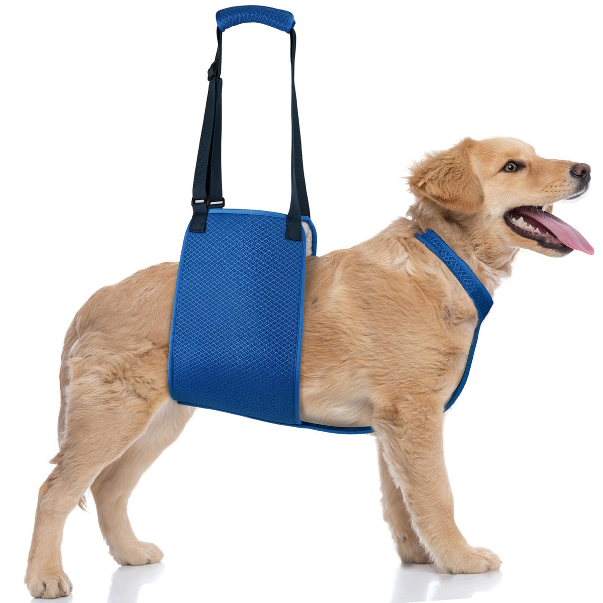 Adjustable Dog Lift Harness with Fixing Strap (X-Large)