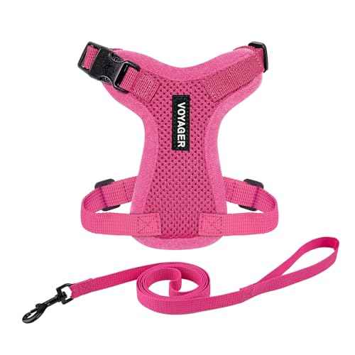 Voyager Step in Lock Cat Harness & Leash Set (Fuchsia / S (Chest: 15 - 18"))