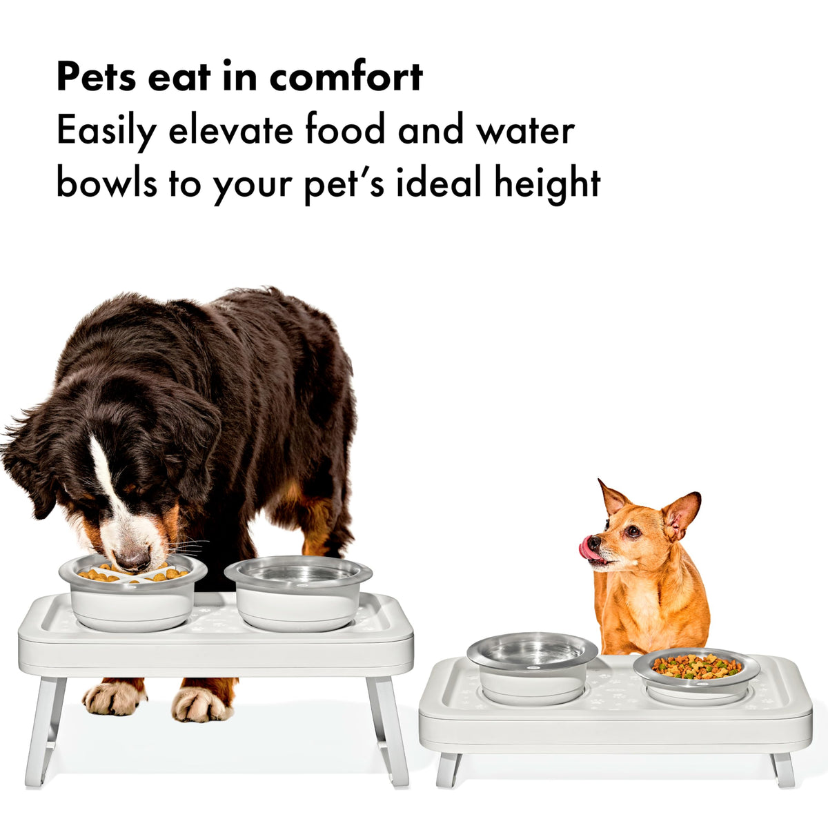 Pet Adjustable Elevated Feeder (Elevated Feeder)