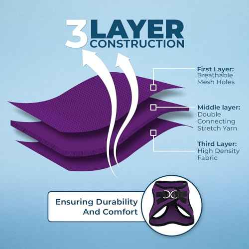 Voyager Step in Air All Weather Mesh Harness and Reflective Dog 5ft Leash Combo with Neoprene Handle (Purple/Black Trim / S (Chest: 14.5 - 16"))