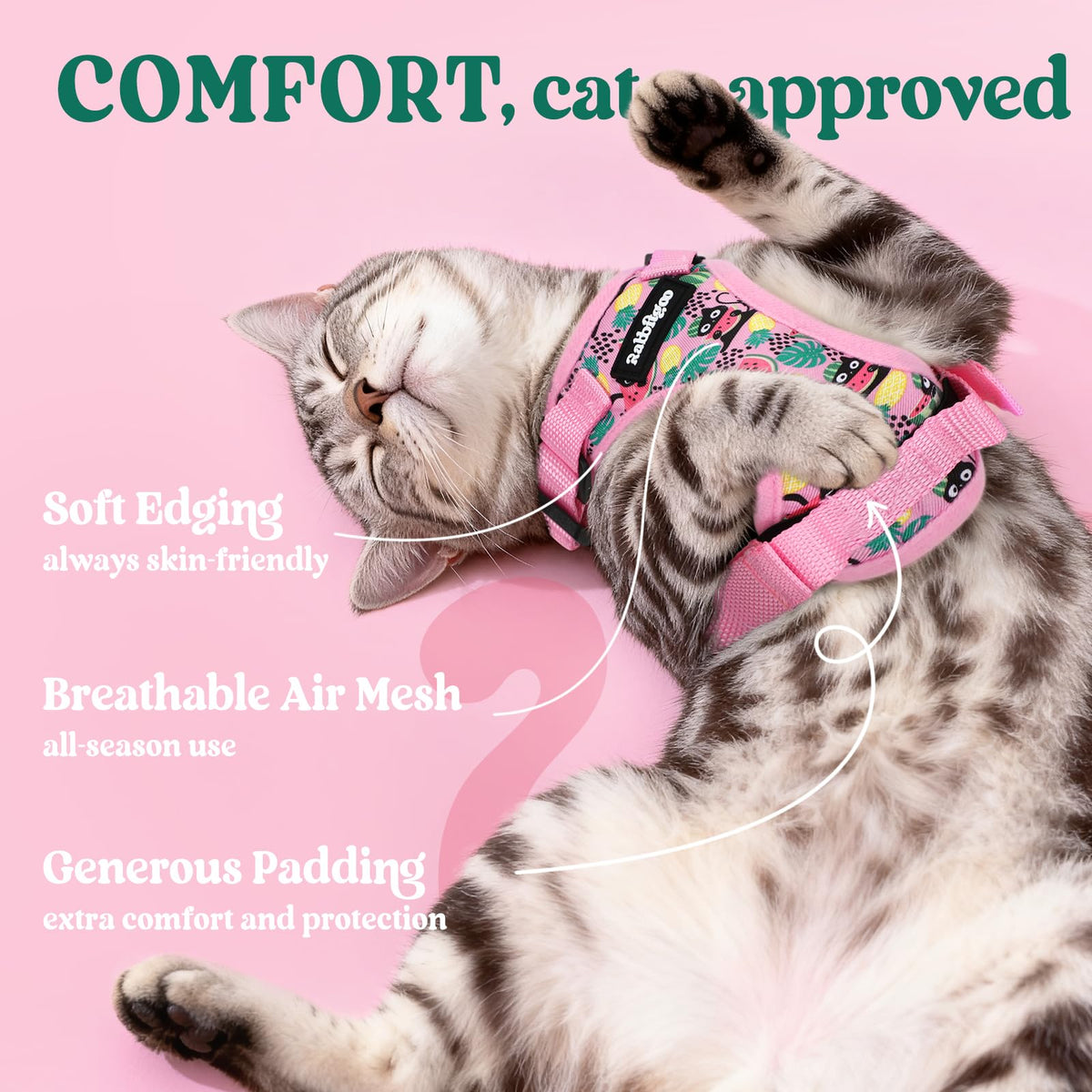 Cat Harness and Leash Set (Xs / Melon Munch)