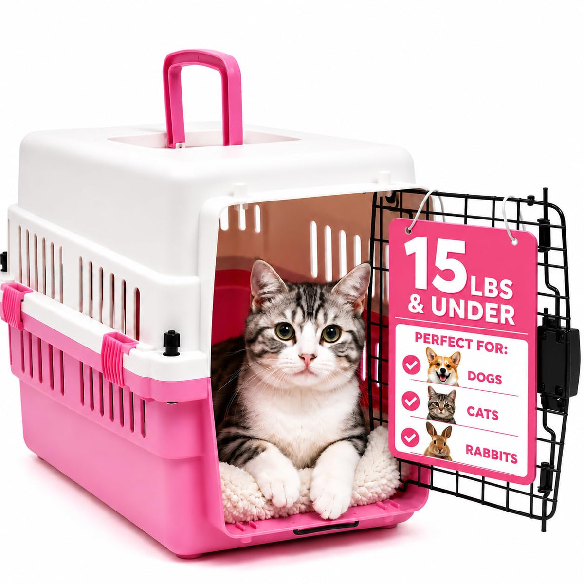 20 Inch Pink Hard Shell Pet Carrier for Small Dogs & Cats Under 15 Lbs (Pink / 19.7"L x 13.4"W x 12.6"H)