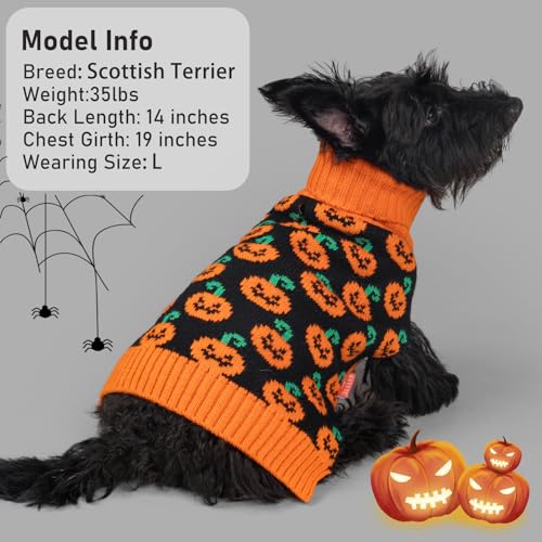 Dog Halloween Sweater for Medium Dog Pumpkin Outfit for Holiday Wear (X-Large (19-27lbs) / 02#Halloween)