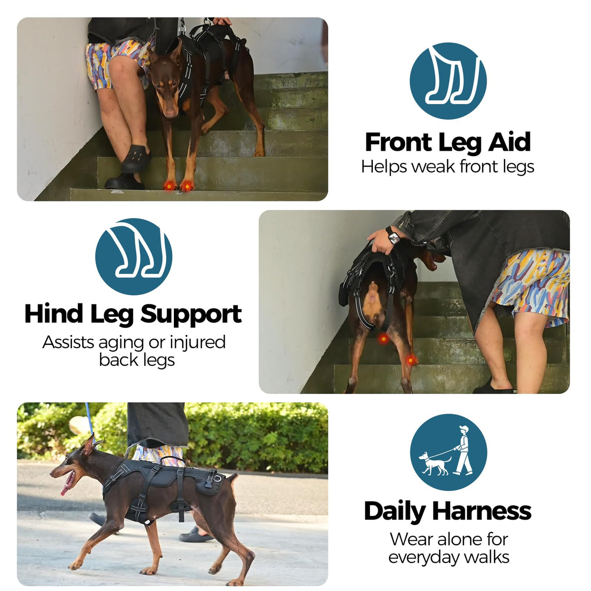 Dog Lift Harness for Large Dogs (Black / Large)