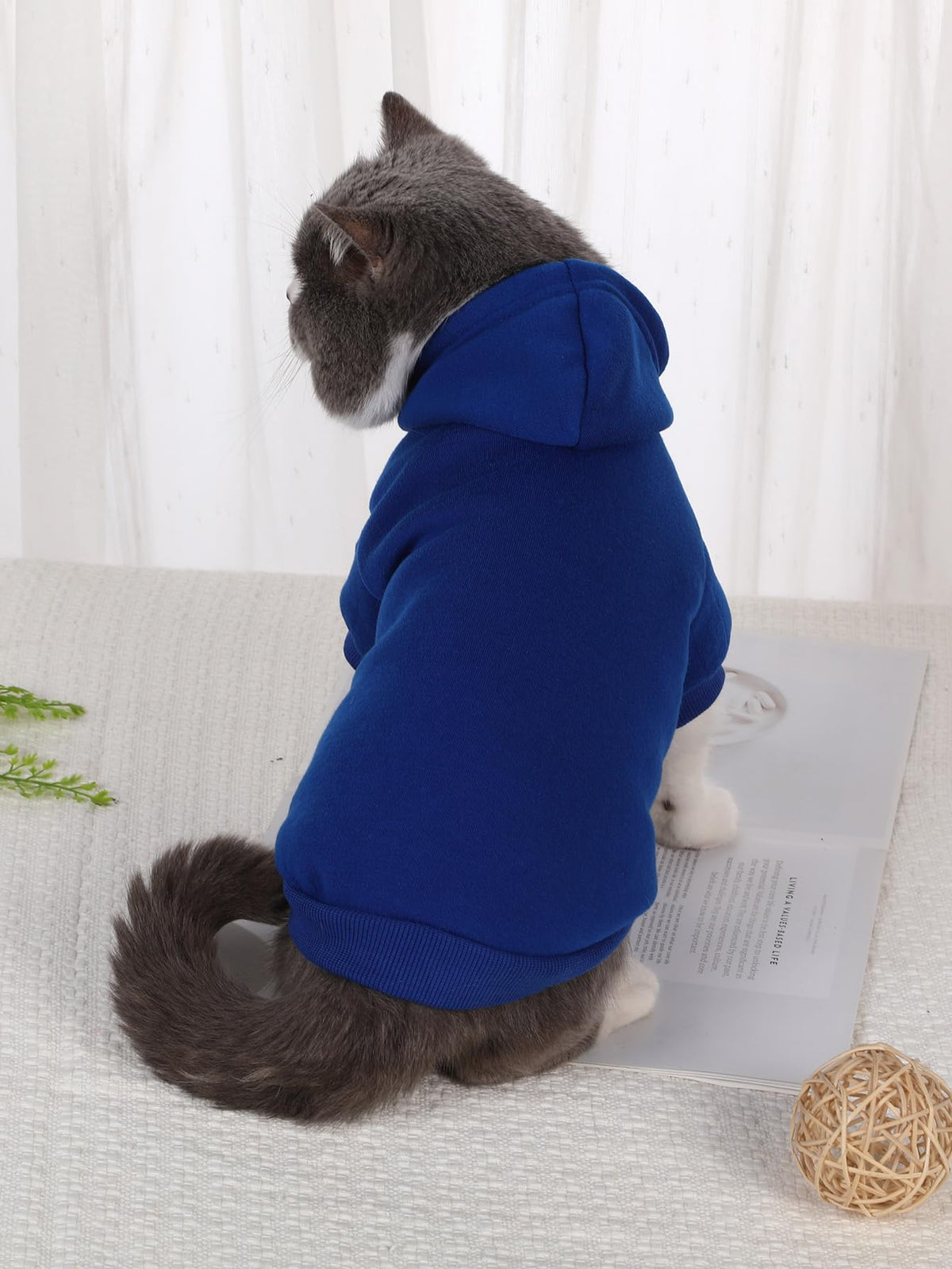 Basic Dog Hoodie Sweatshirt Puppy Sweater Warm Cat Costumes Pet Clothes for Chihuahua Puppy Kitten Small Medium Dogs Royal Blue Large (Large / Royal Blue)