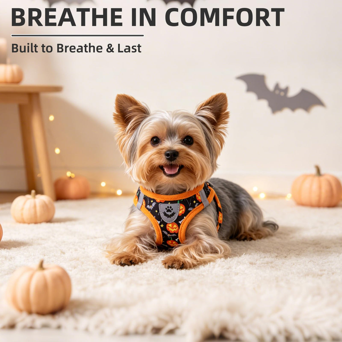 Halloween Dog Harness (Halloween Black / L (CHEST 18"-20"))
