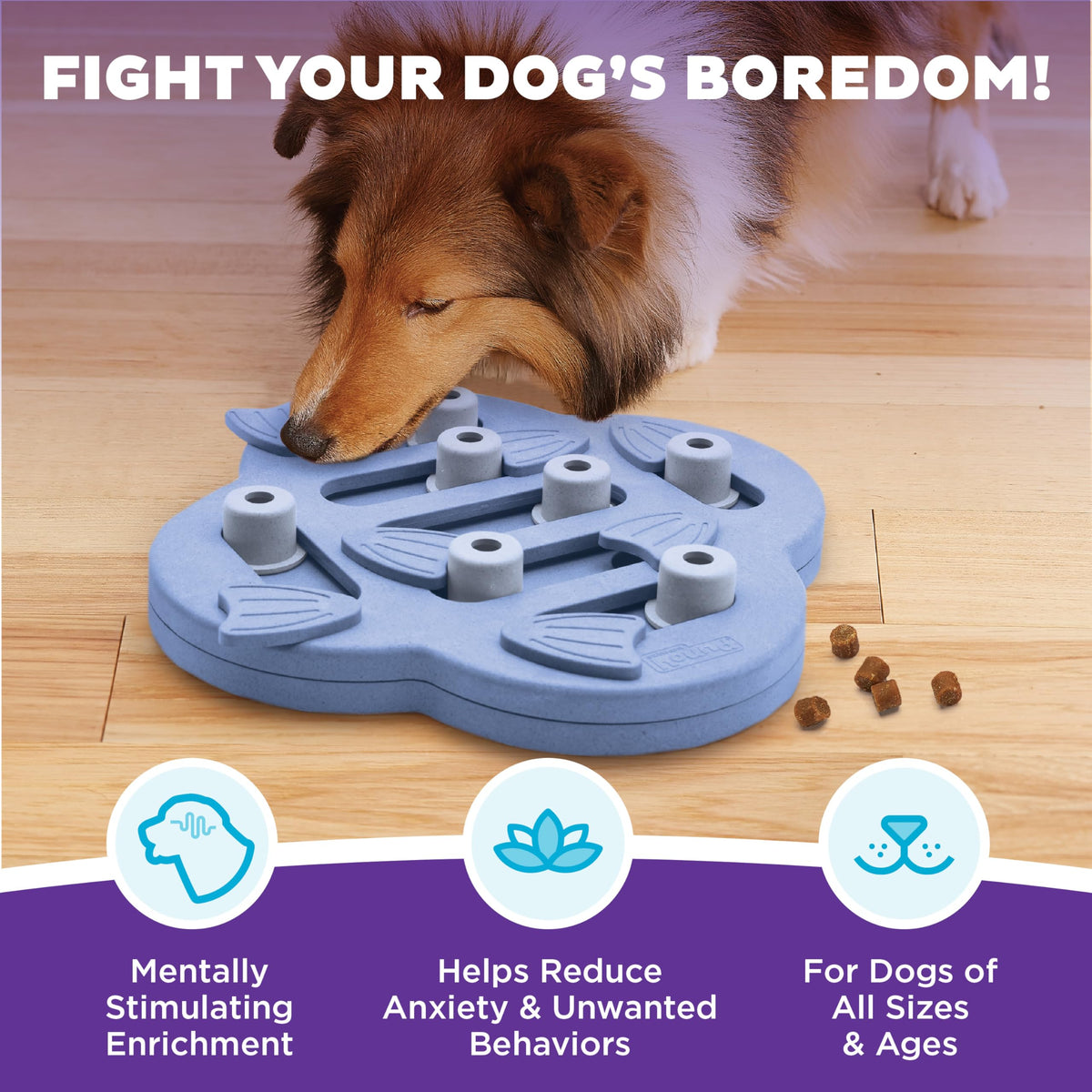 Nina Ottosson Dog Hide N' Slide Dog Toy Treat Puzzle