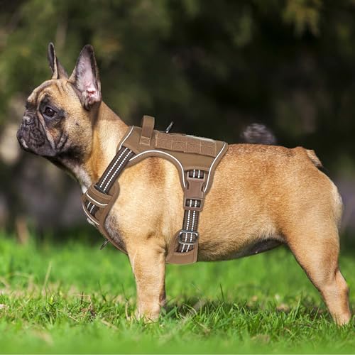 Tactical No Pull Dog Harness with Leash (Brown / Medium)