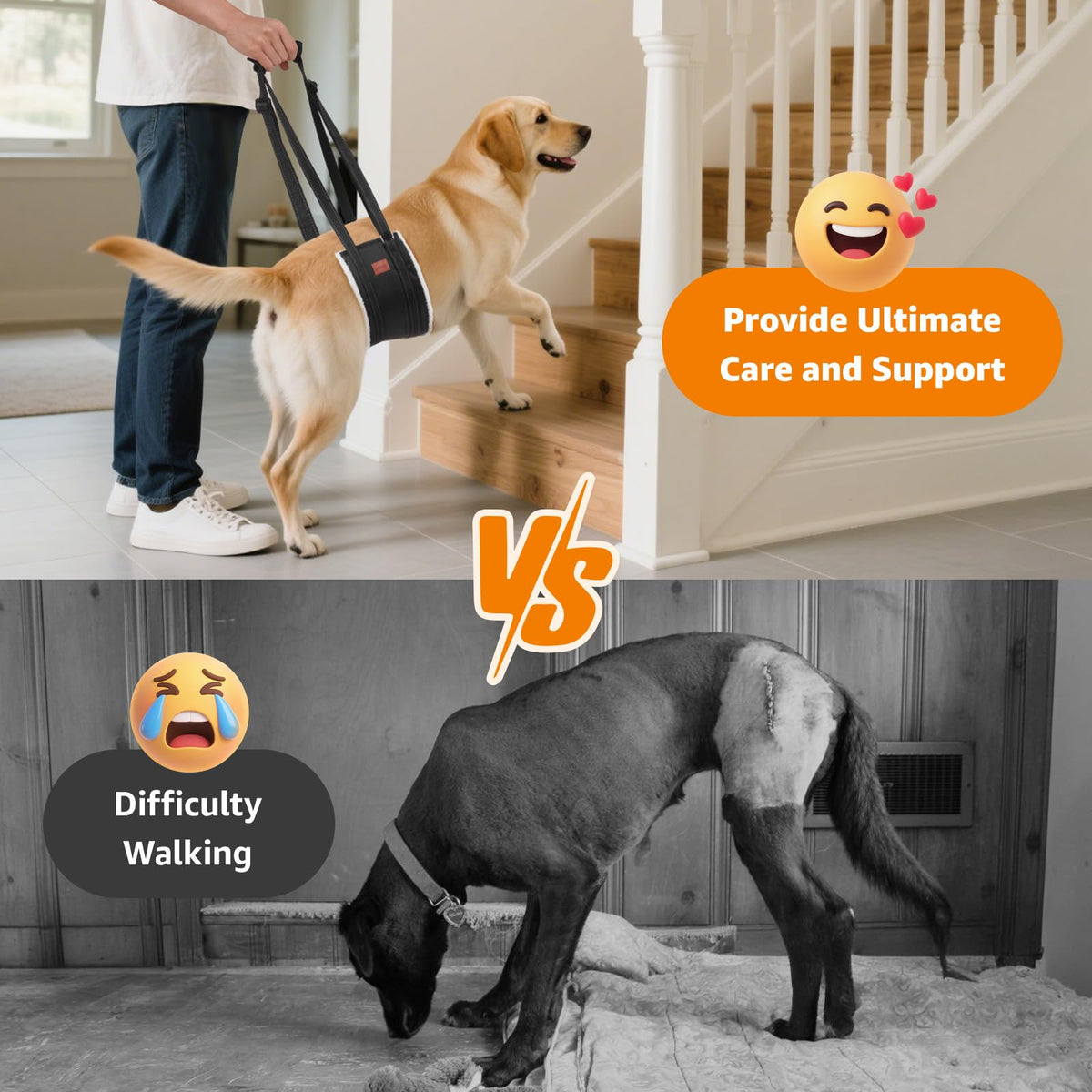 Adjustable Dog Sling for Large Dogs Hind Leg Support ACL Recovery (Black / Large)
