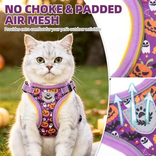 Halloween Cat Harness and Leash Set Escape Proof Reflective Cat Walking Harness Adjustable Soft Breathable Mesh Vest for Small Pets (S (NECK 9.5"-11", CHEST 13"-16") / Purple(Halloween))