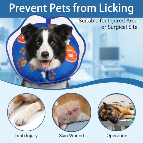 Inflatable Dog Cat Cone Collar with Transparent Shield for After Surgery (L(Neck:15"-20"))
