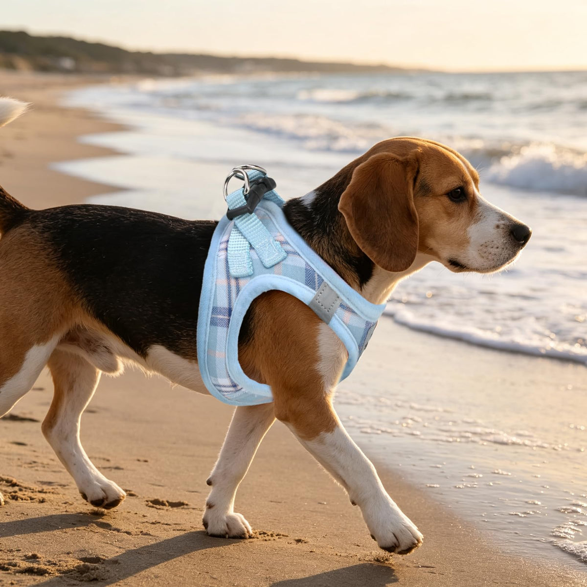 Dog Harness Collar and Leash Set No Pull for Small Medium Sized (Blue / XS (CHEST 13"-14.5"))