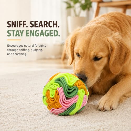 Vibrant Snuffle Ball for Dogs (Multi-colored / Small)