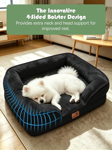 Orthopedic Dog Bed with Sides (24.0"L x 18.0"W x 6.0"Th / Black)
