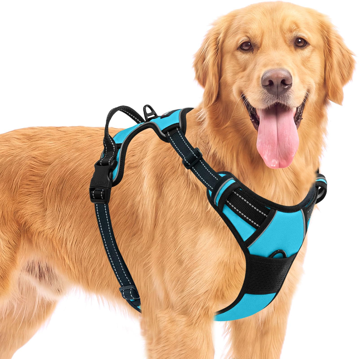 Dog Harness for Large Dog No Pull 2 Leash Clips Dog Vest (Blue / Large)