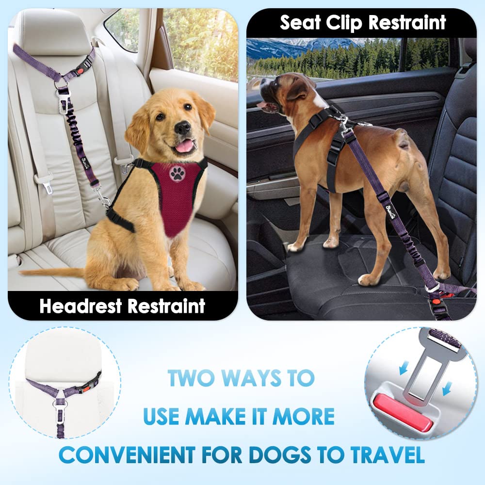 Dog Seat Belt for Car (J.Purple)