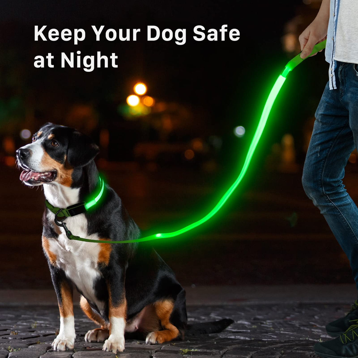 LED Light Up Dog Leash 3 Lighting Modes USB Rechargeable (Green-KX)