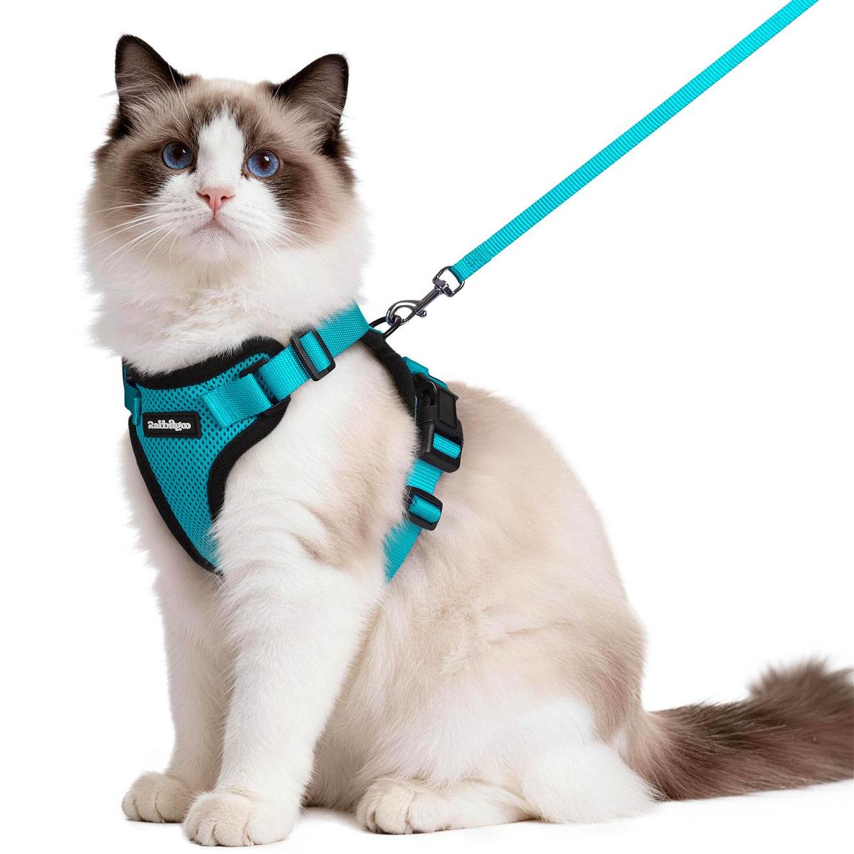 Cat Harness and Leash Set (M / Teal)