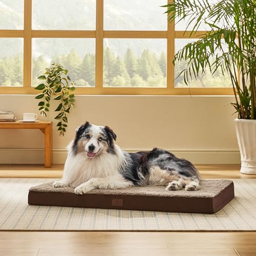 XL Dog Bed for Crate (41"L x 27"W x 3"Th / Brown)
