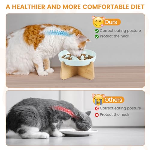 Slow Feeder Cat Bowl Elevated Ceramic with Bamboo Stand (Green Fish)