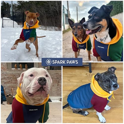 Dog Hoodie Buttery (Primary Color Block / Small)