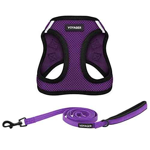 Voyager Step in Air All Weather Mesh Harness and Reflective Dog 5ft Leash Combo with Neoprene Handle (Purple/Black Trim / S (Chest: 14.5 - 16"))