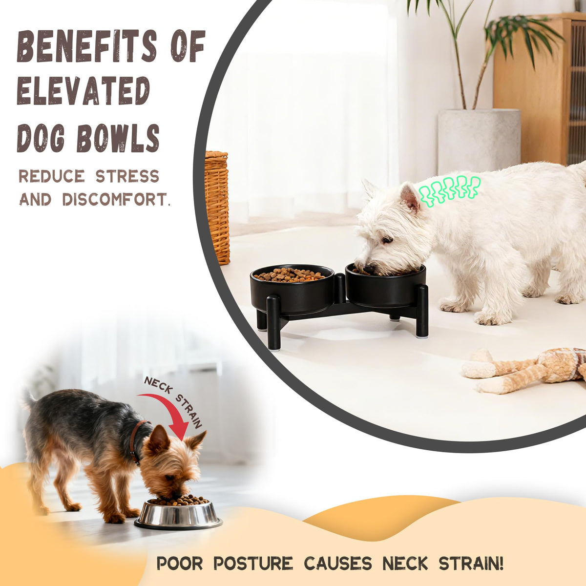 Raised Ceramic Dog Bowl Set with Stand (Pink / 2 Bowls - 1.6 Cups Each)