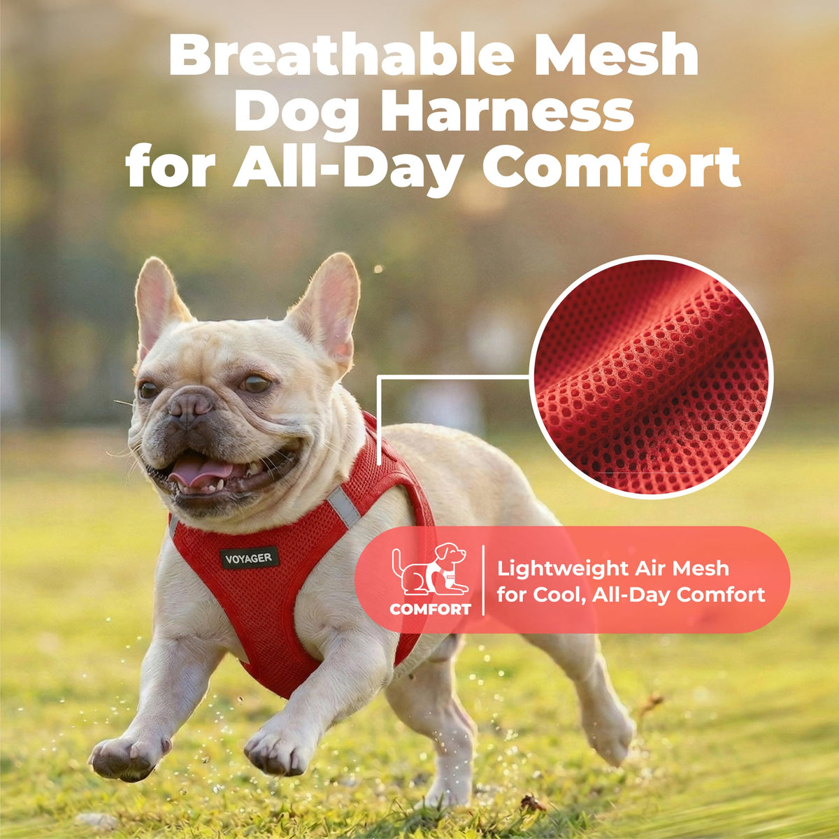 Voyager Step in Air Dog Vest Harness (Red / XL (Chest: 20.5 - 23"))