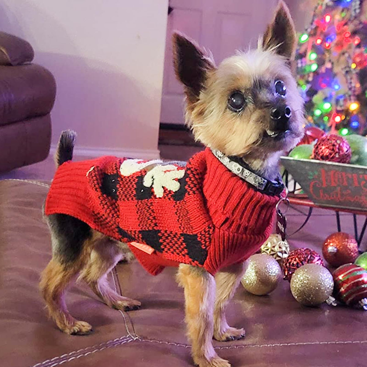 Dog Christmas Sweater for Small Dogs with Red Buffalo Plaid Reindeer (Small (4-7lbs) / Christmas)