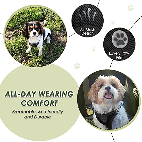 Dog Seat Belt and Harness for Car (Black / XX-Small)
