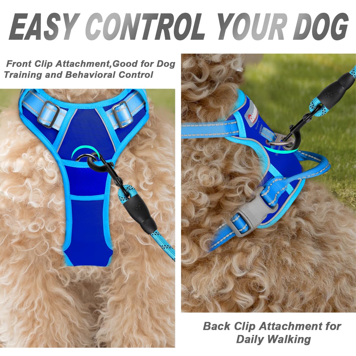 Dog Harness No Pull for Small Sized Dog Front Back Clips (X-Small(Chest:15.5-19.5”) / Sapphire Blue & Blue)