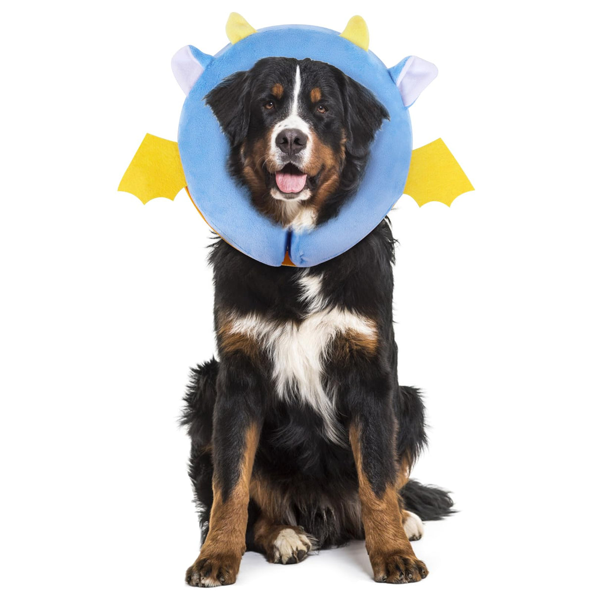 Inflatable Recovery Dog Collar (Vampire / Large + (Neck:18''-20''))