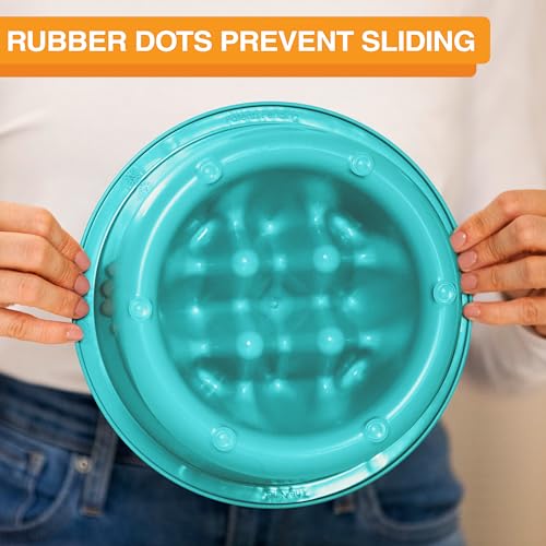 The Niner Slow Feed Bowl (Aquamarine / 2 Cup)