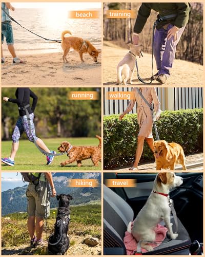 Hands Free Dog Leash with Seatbelt Set (Gray / 71-114‘’)