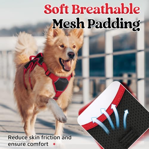 Escape Proof Dog Harness for Large (Red & Black / Large)