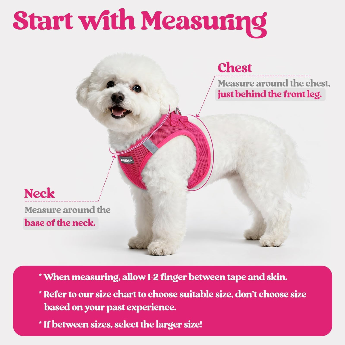 Dog Harness Small Sized and Leash Set (Rose Red / S (chest: 15.1 - 16.5"))