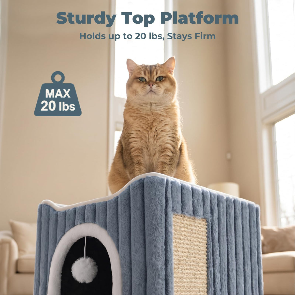 3-in-1 Cat Cave Bed for Indoor Cats with Scratch Pad (Blue)