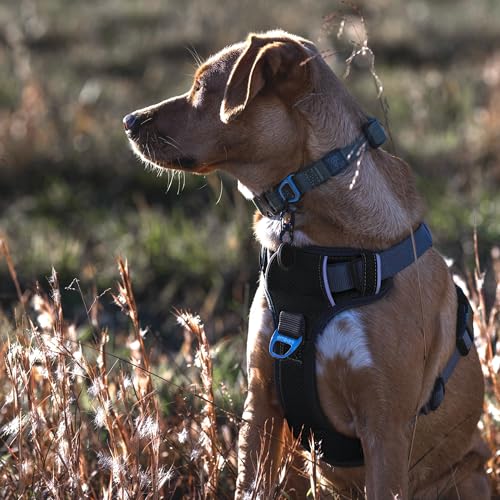 Embark No Pull Dog Harness (S / Black)