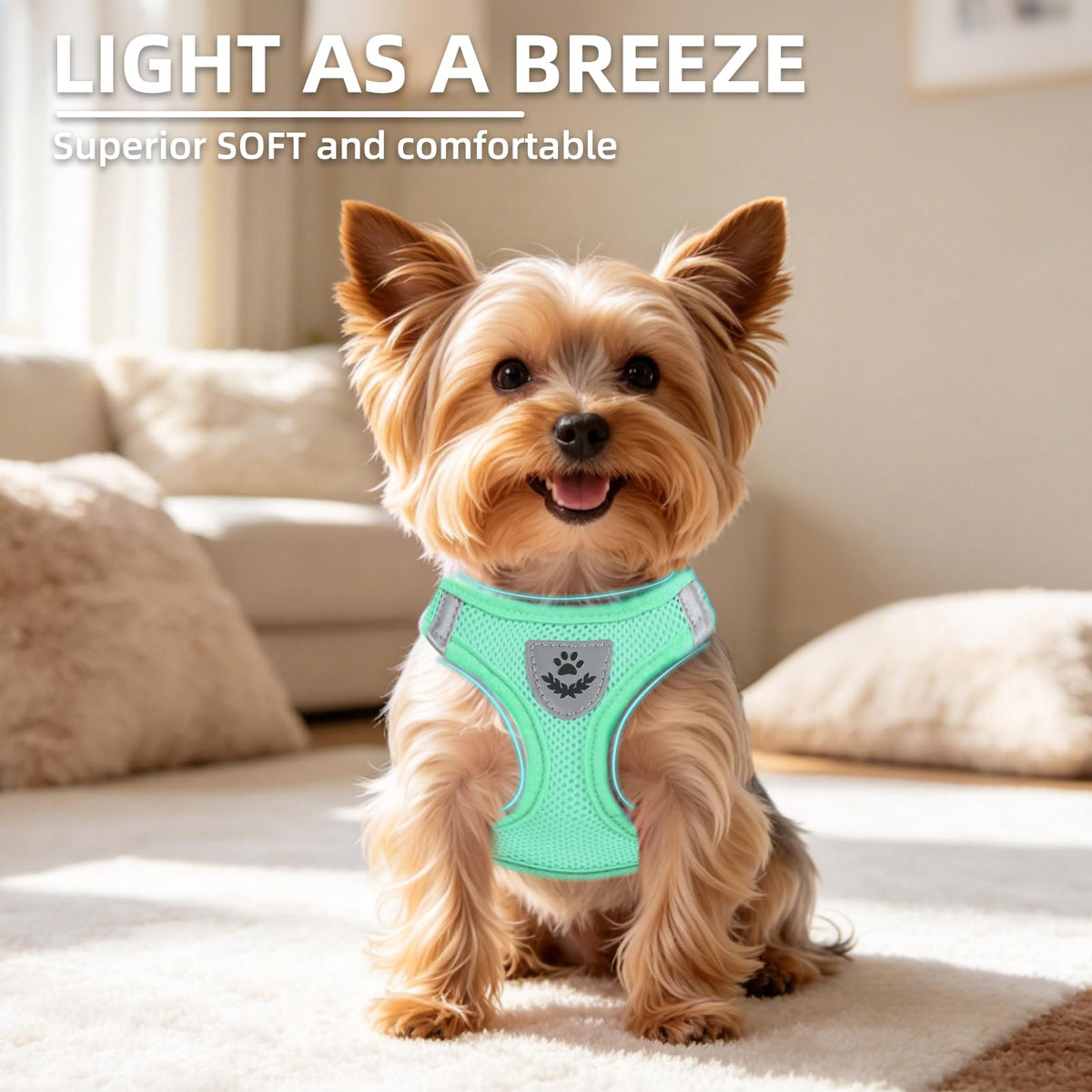 Dog Harness Collar and Leash Set No Pull for Small Medium Sized (Solid Green / S (CHEST 14.5"-16"))