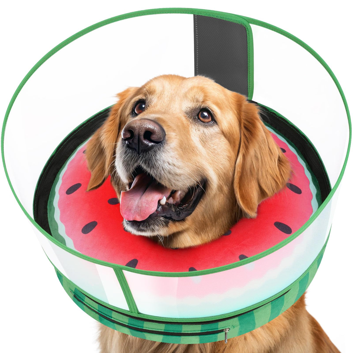 Inflatable Dog Cone with Anti (S (Neck: 5"-8"))