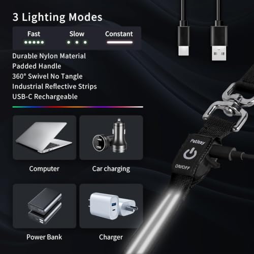 LED Dog Leash (White / 6 feet)