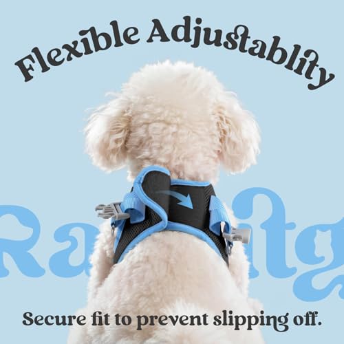 Dog Harness Small Sized and Leash Set (Black & Blue / XS (Chest: 13.3"-15.5"))