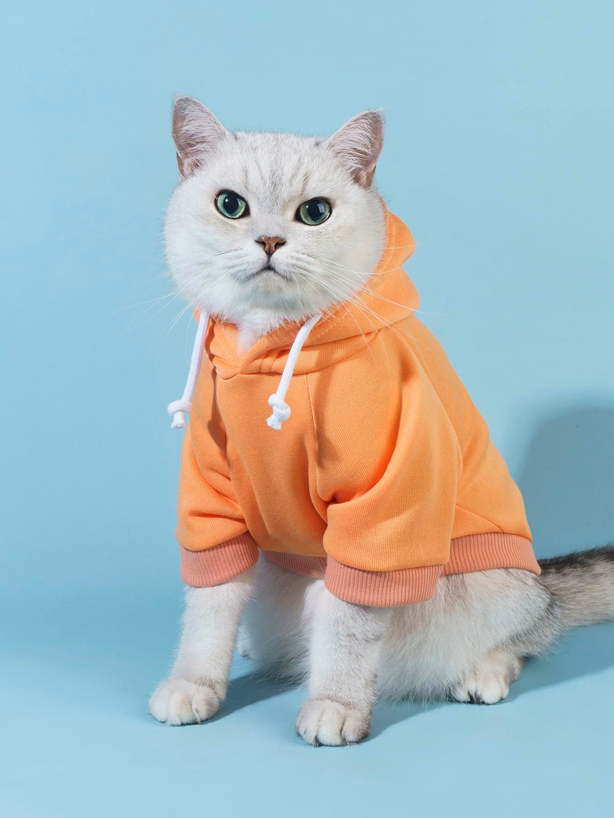 Basic Dog Hoodie Sweatshirt Puppy Sweater Warm Cat Costumes Pet Clothes for Chihuahua Puppy Kitten Small Medium Dogs Orange Large (Large / Orange)