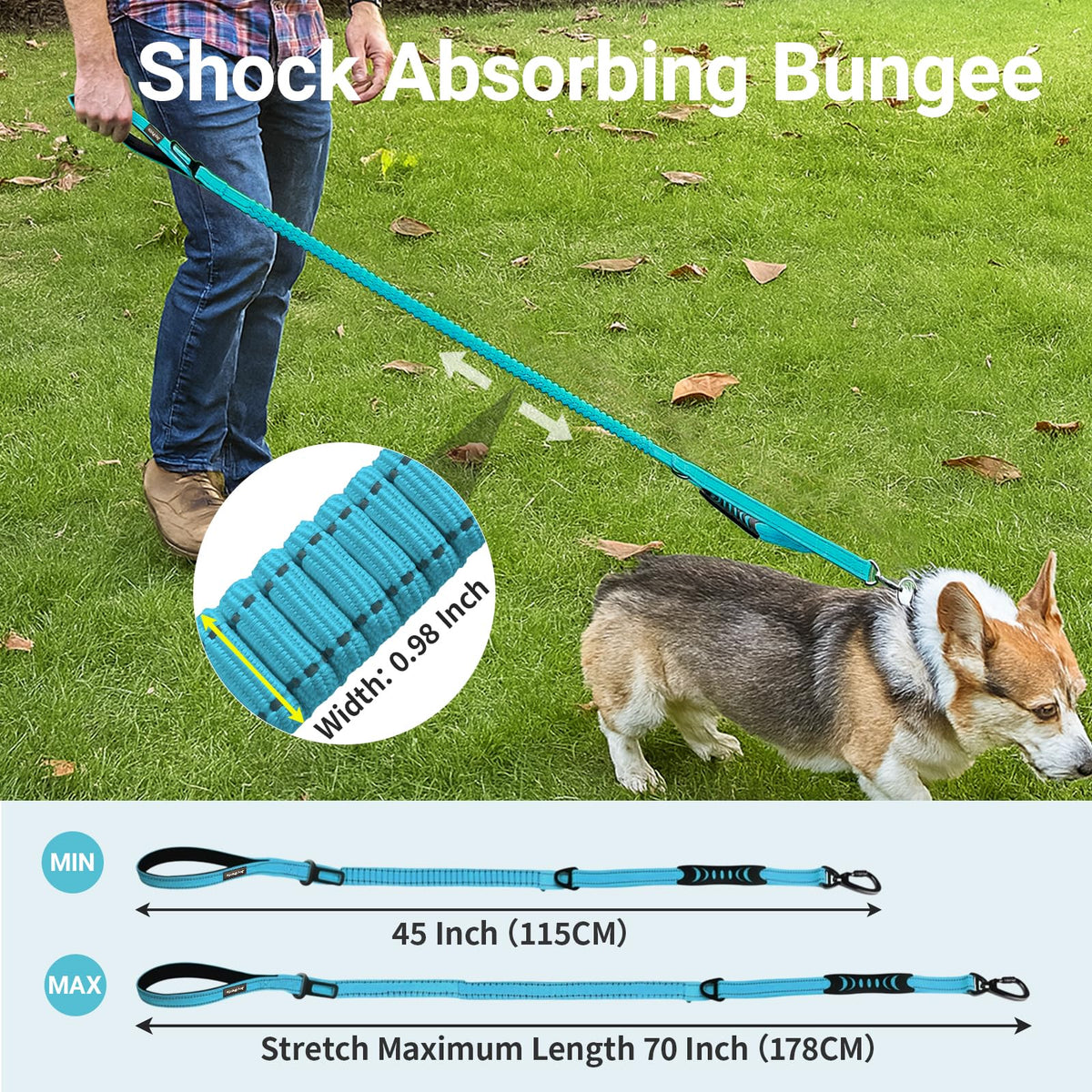 Dual Handle Bungee No (Blue)