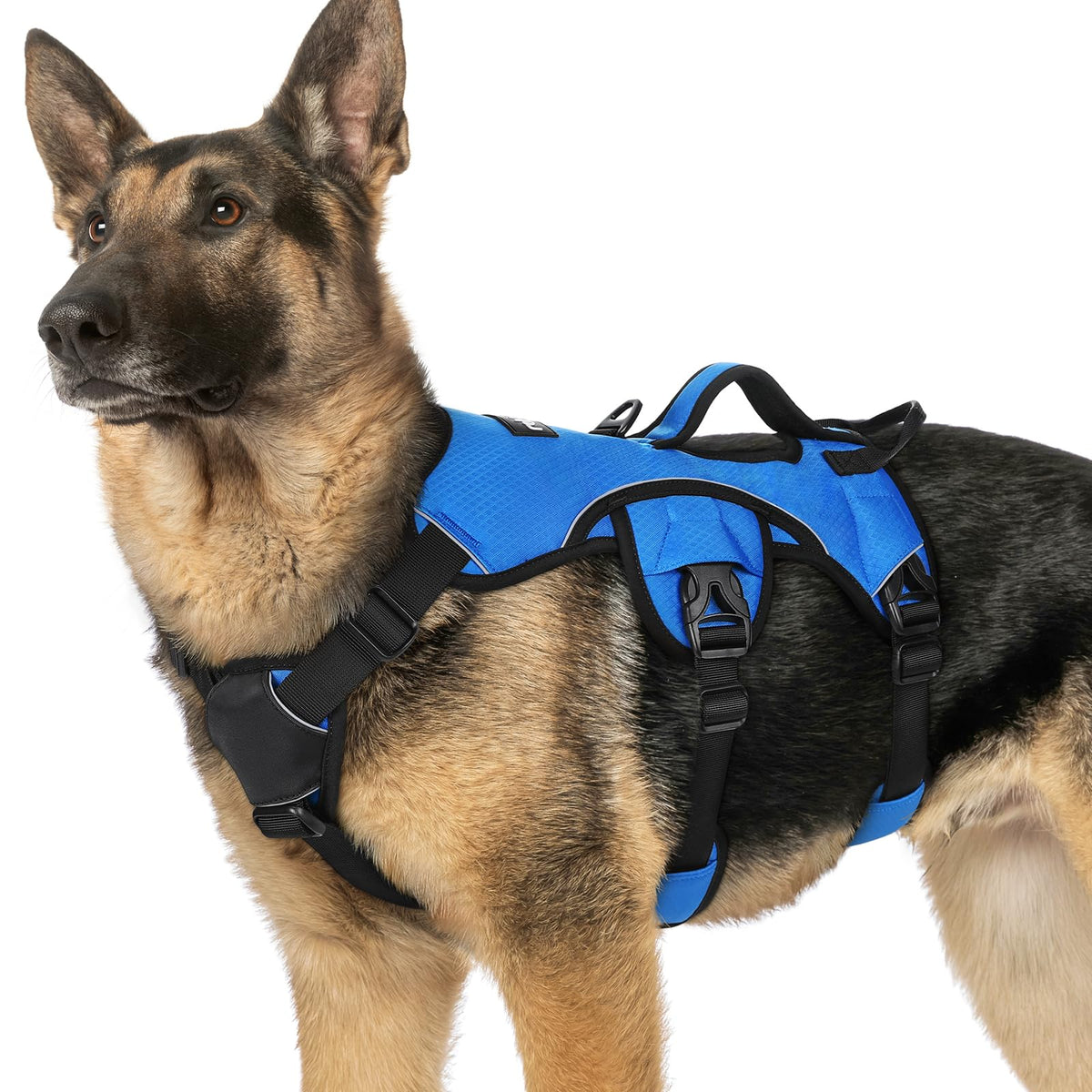 Escape Proof Dog Harness for X (Blue / X-Large)