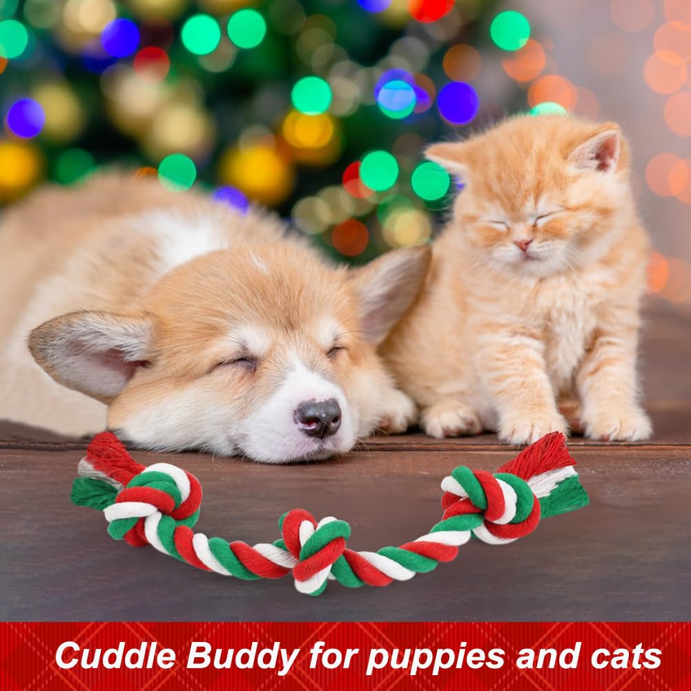 Christmas Dog Rope Toy (Small / Christmas)