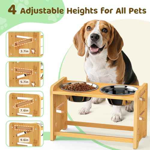 Elevated Dog Bowls