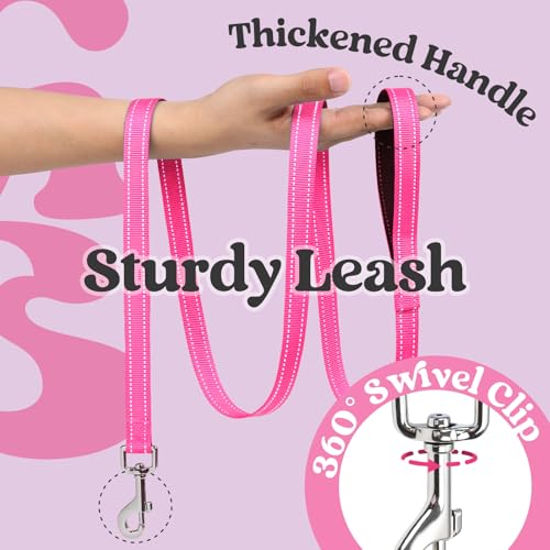 Dog Harness Small Sized and Leash Set (Black & Rose Red / XS (Chest: 13.3"-15.5"))